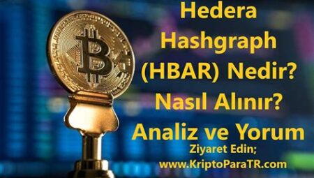 Hedera Hashgraph (HBAR) Nedir? Yönetişim ve Konsensus Algoritması