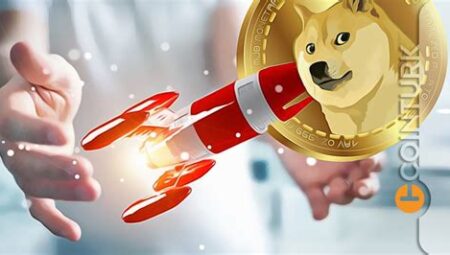 Shiba Inu Coin Analizi ve Geleceği