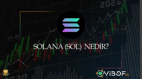 Solana (SOL) Nedir? Avantajları ve Dezavantajları